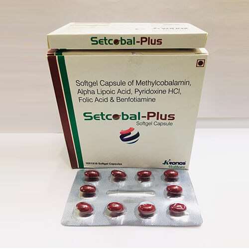 SETCOBAL -PLUS