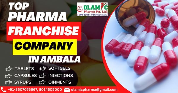 pharma franchise company ambala